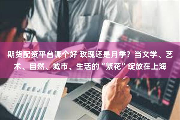期货配资平台哪个好 玫瑰还是月季？当文学、艺术、自然、城市、生活的“繁花”绽放在上海