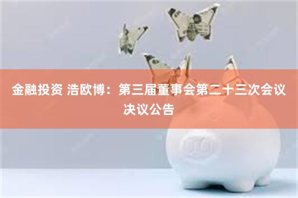 金融投资 浩欧博：第三届董事会第二十三次会议决议公告
