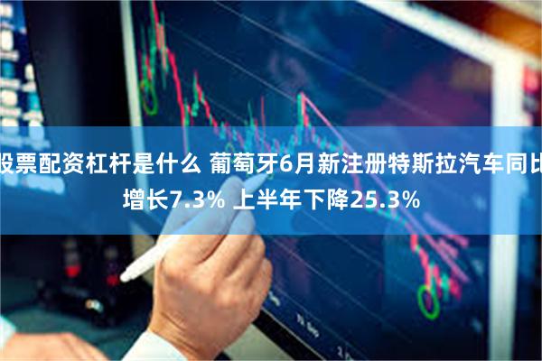股票配资杠杆是什么 葡萄牙6月新注册特斯拉汽车同比增长7.3% 上半年下降25.3%