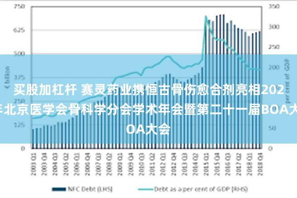 买股加杠杆 赛灵药业携恒古骨伤愈合剂亮相2025年北京医学会骨科学分会学术年会暨第二十一届BOA大会