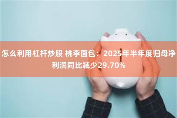 怎么利用杠杆炒股 桃李面包：2025年半年度归母净利润同比减少29.70%