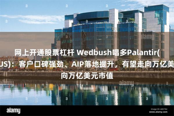 网上开通股票杠杆 Wedbush唱多Palantir(PLTR.US)：客户口碑强劲、AIP落地提升，有望走向万亿美